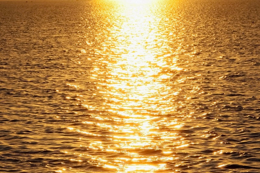 Sonnenöle: Wie viel Schutz bieten natürliche Öle wirklich?